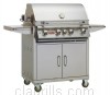 Grill image for model: 44000 (Angus)