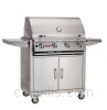 Grill image for model: 87001 (Lonestar Select)