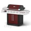 Grill image for model: 463250308 (Red Infrared)