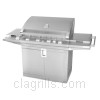 Grill image for model: 463268407 (TEC Infrared)