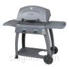 Grill image for model: 463350506 (Performance)