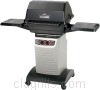 Grill image for model: 4000
