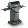 Grill image for model: 4100W