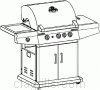 Grill image for model: 266964