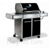Grill image for model: 3741001 (Genesis E-310)